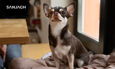 نصب کاشی و سرامیک